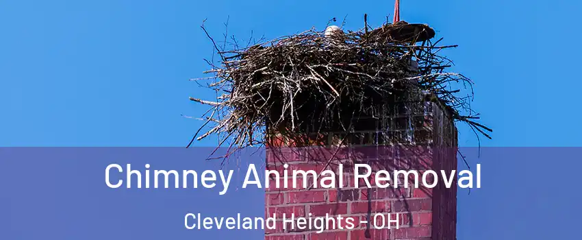 Chimney Animal Removal Cleveland Heights - OH