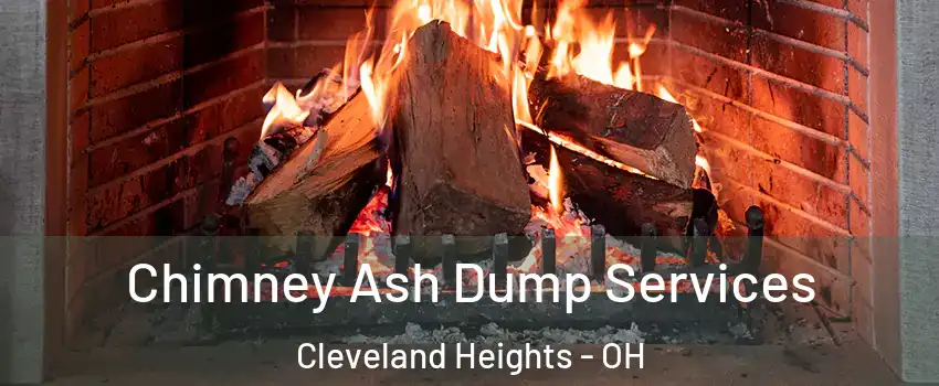  Chimney Ash Dump Services Cleveland Heights - OH