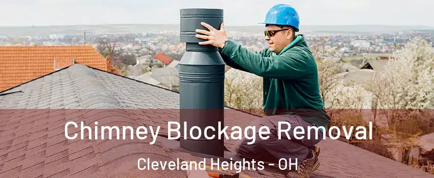  Chimney Blockage Removal Cleveland Heights - OH