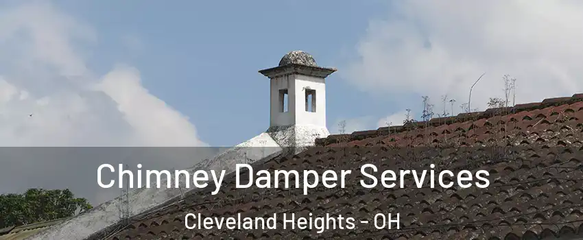  Chimney Damper Services Cleveland Heights - OH