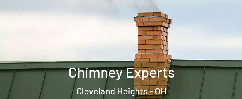 Chimney Experts Cleveland Heights - OH