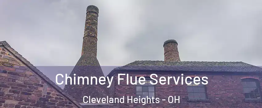  Chimney Flue Services Cleveland Heights - OH