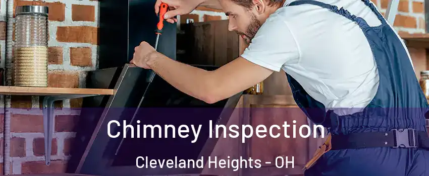  Chimney Inspection Cleveland Heights - OH