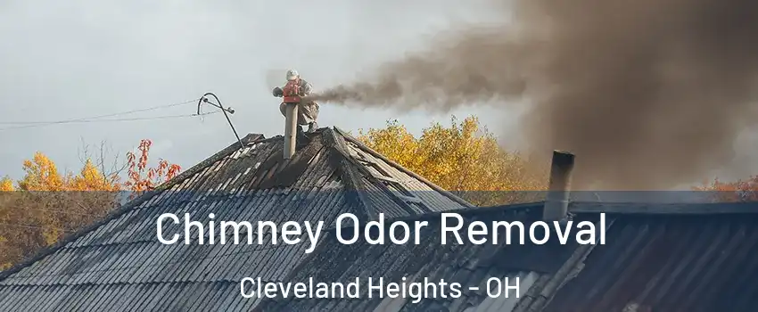 Chimney Odor Removal Cleveland Heights - OH