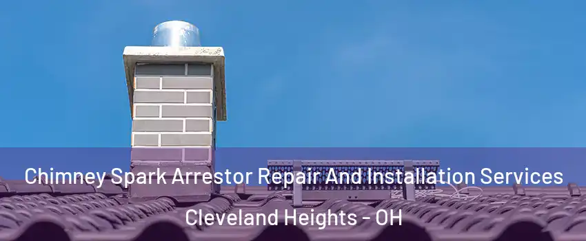  Chimney Spark Arrestor Repair And Installation Services Cleveland Heights - OH