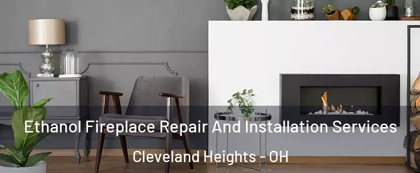  Ethanol Fireplace Repair And Installation Services Cleveland Heights - OH