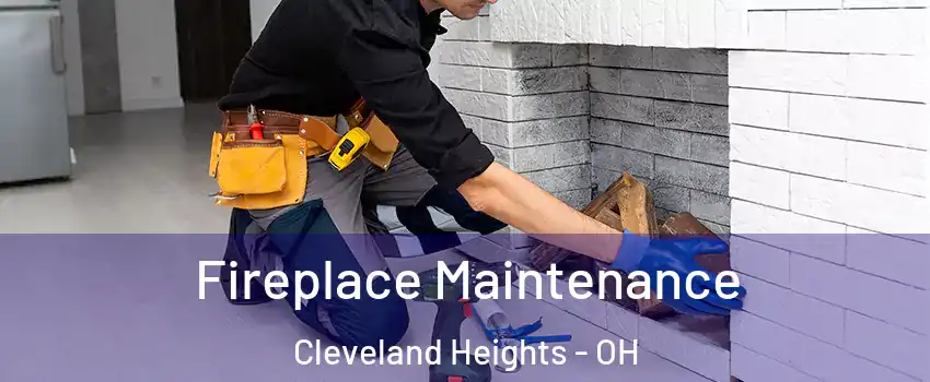  Fireplace Maintenance Cleveland Heights - OH