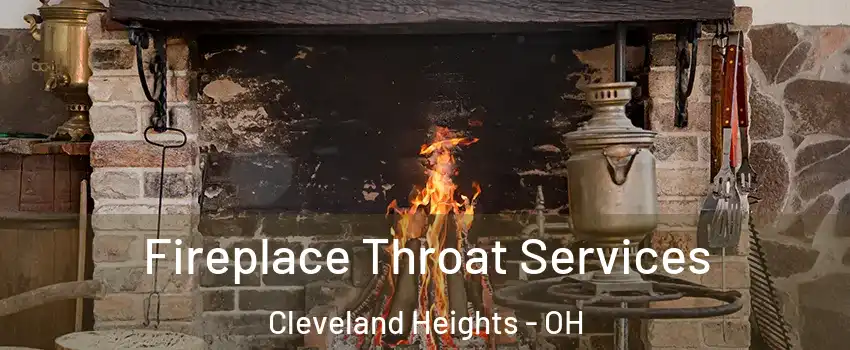  Fireplace Throat Services Cleveland Heights - OH