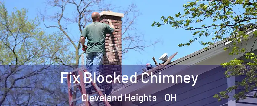  Fix Blocked Chimney Cleveland Heights - OH