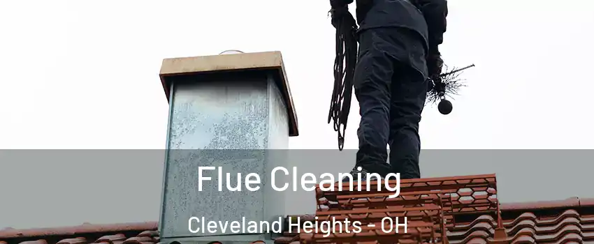  Flue Cleaning Cleveland Heights - OH