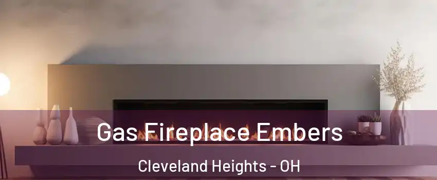  Gas Fireplace Embers Cleveland Heights - OH