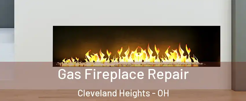  Gas Fireplace Repair Cleveland Heights - OH