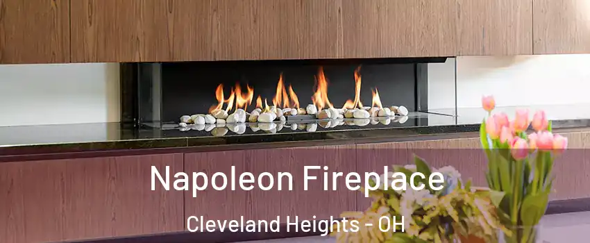  Napoleon Fireplace Cleveland Heights - OH