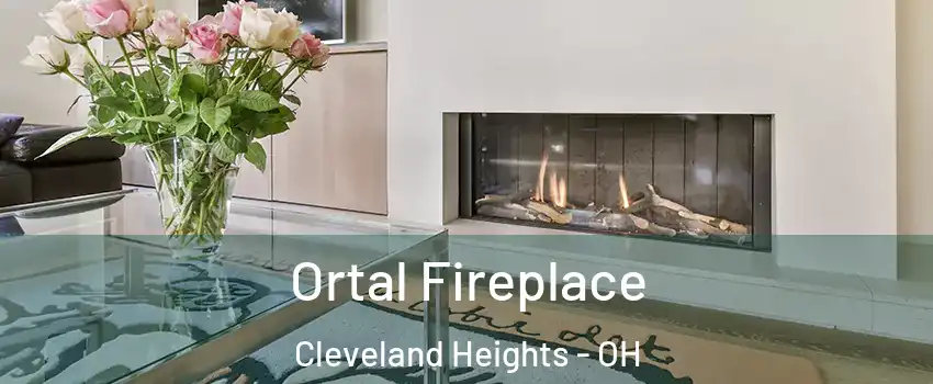 Ortal Fireplace Cleveland Heights - OH